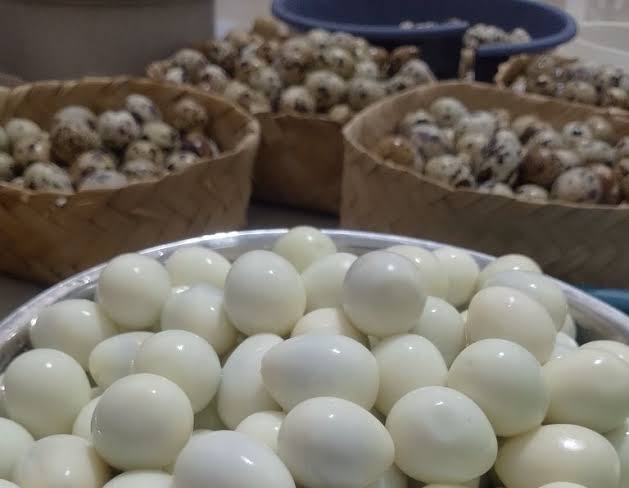 Telur Puyuh Kulit dan Kupas